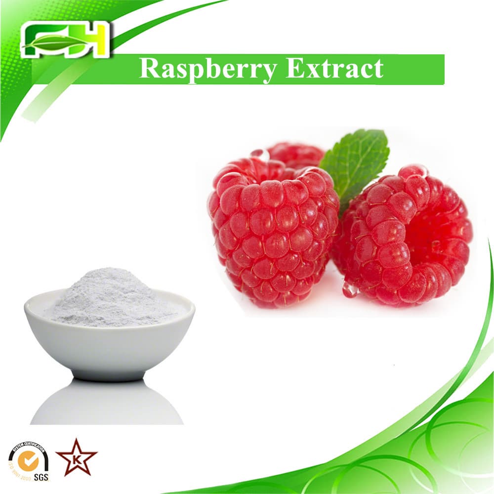 blaeberry_ REllagic Acid_ raspberry Ketone Raspberry Extract